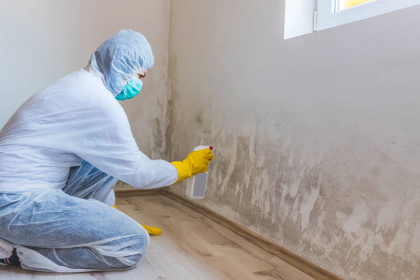 Mold Removal Process in Keene, NH