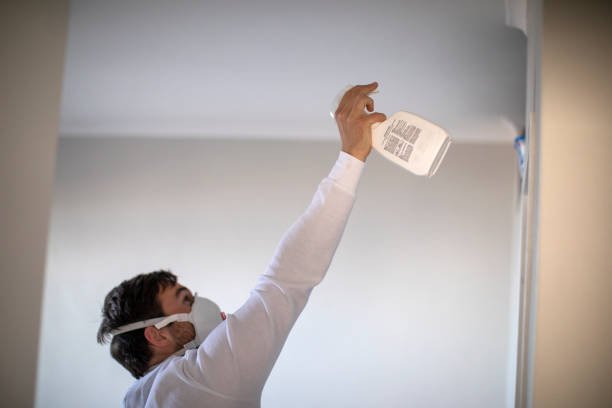 Best Office Mold Removal Services  in Keene, NH