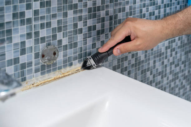 Best Emergency Mold Removal  in Keene, NH